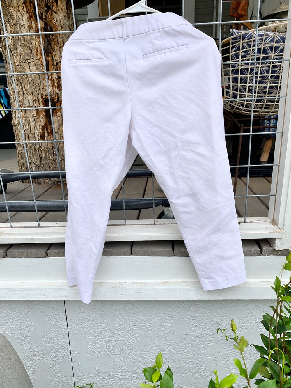 Liz Claiborne capris size 12 Petite - Picture 3 of 3